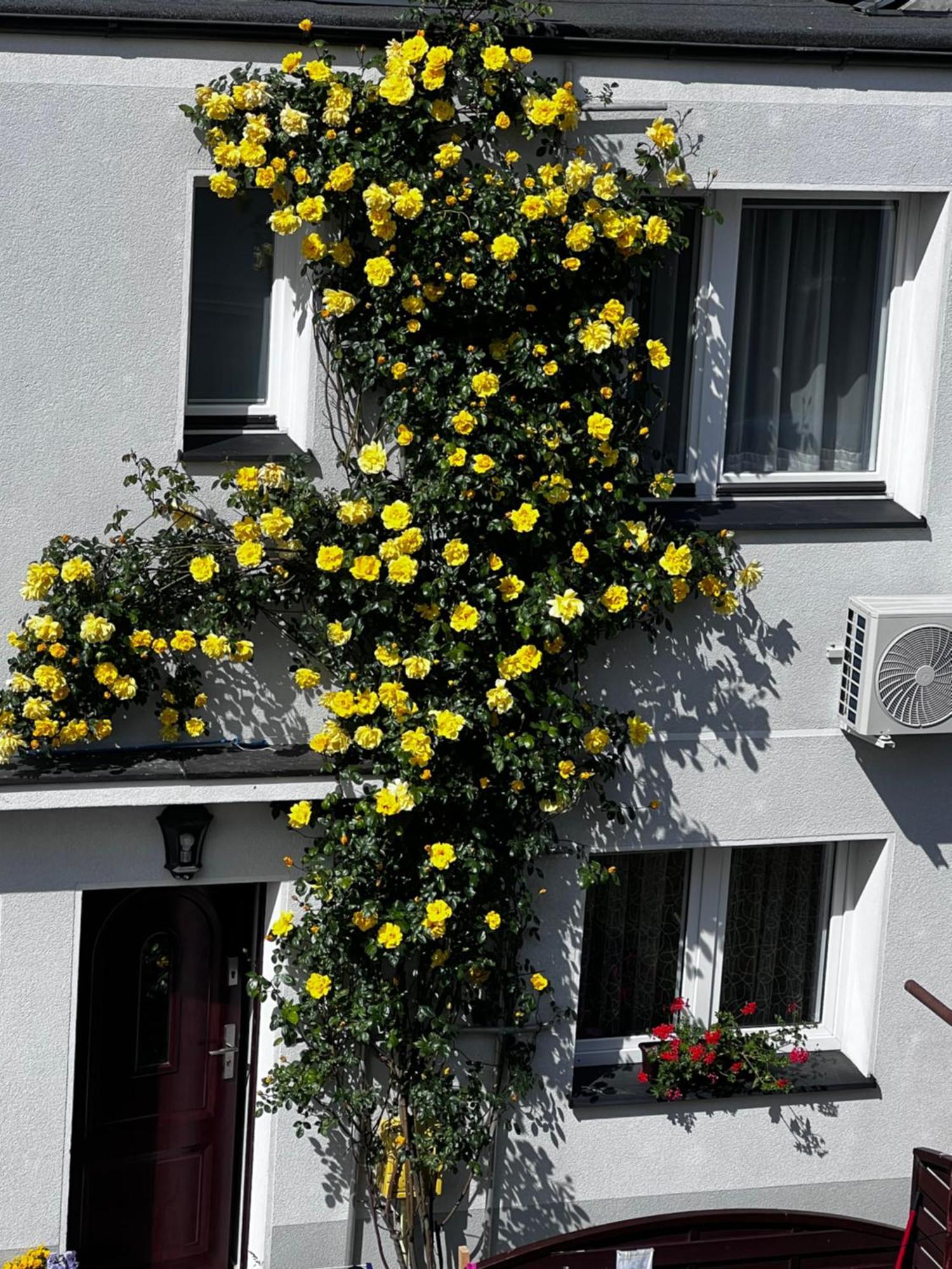 Ferienwohnung Szyper Jastarnia Exterior foto